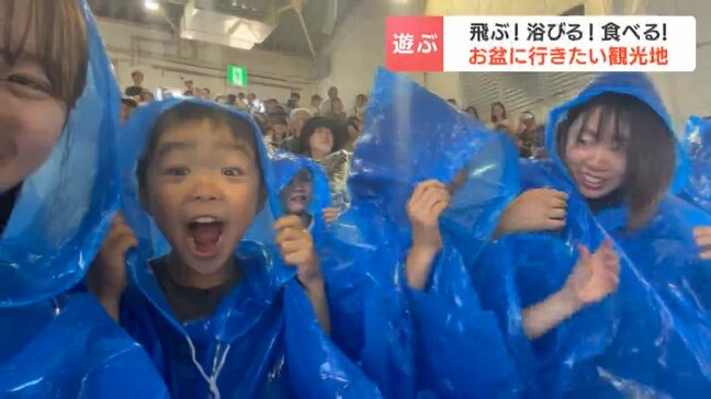 【お盆休み本番】紙ひこうき大会に迫力イルカショー、旬のプルーン狩りも!北海道内各地にぎわう|TBS NEWS DIG