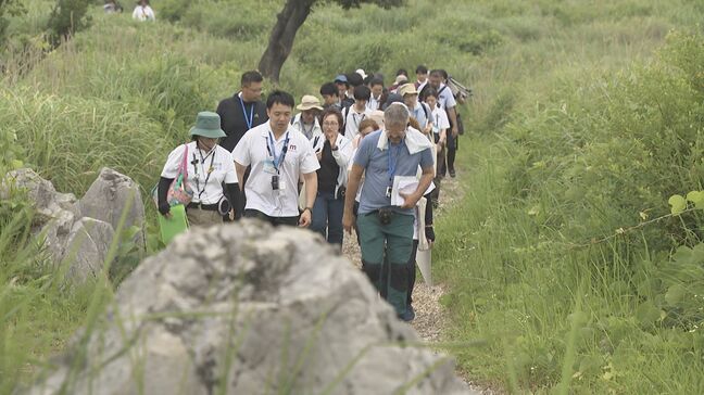 「Ｍｉｎｅ秋吉台ジオパーク」ユネスコ世界ジオパーク認定へ…現地審査結果は“承認勧告”　山口・美祢|TBS NEWS DIG