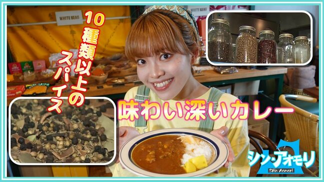 青森へ移住して開業「できるだけ青森の食材を使って」10種類以上のスパイスを調合して生み出すカレー店【シン・アオモリ】|TBS NEWS DIG