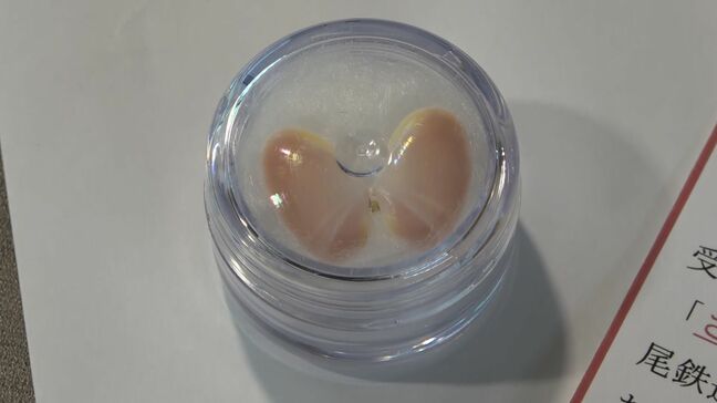 幸せを呼ぶ「さくら貝」のお守り配り駅員が受験生ら応援|TBS NEWS DIG