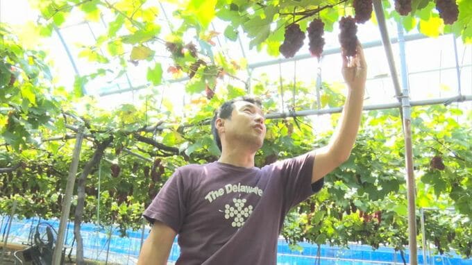 【熱中症対策】猛暑の週末へ　農作業の場合「どうしても作業効率は下がっていく」…ポイントは「時間がきたら休む」　|　BSSニュース | BSS山陰放送