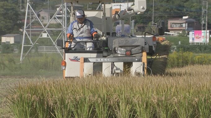 相対取引価格3万6895円　前年同月比6割増　過去最高値を更新　概算金高値が要因