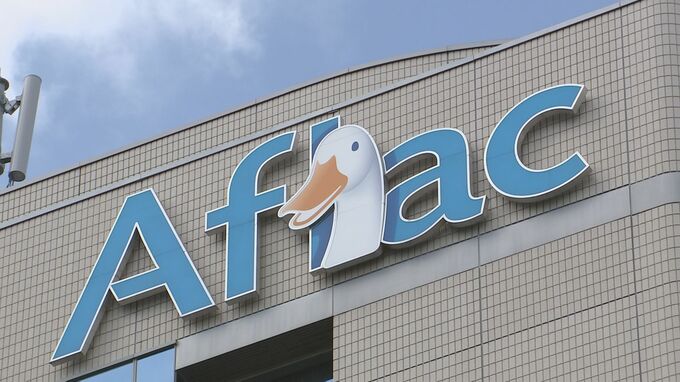 アフラック生命保険 金融庁から報告徴求命令 不正アクセスで438万人分の顧客情報流出めぐり