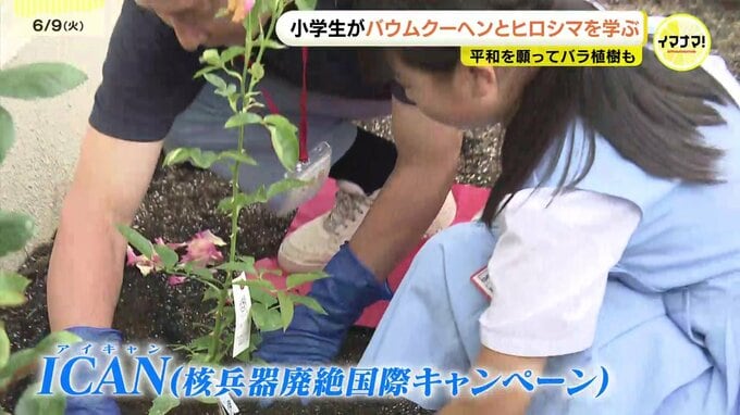 「みんなでバラ園を育てて、平和な場所に」小学生がバラを植樹　「バウムクーヘンとヒロシマ」の講演も聞く　|　RCC NEWS | 広島ニュース | RCC中国放送