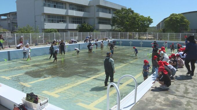 プール開きを前に　児童がヤゴ救出作戦　山口　|　山口のニュース・天気・防災｜tys NEWS｜ｔｙｓテレビ山口