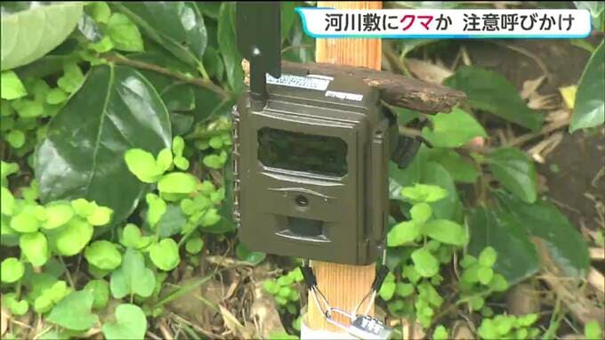 クマ目撃情報を受け設置した河川敷のカメラに体長約1mのクマ映る 仙台・宮城野区|TBS NEWS DIG