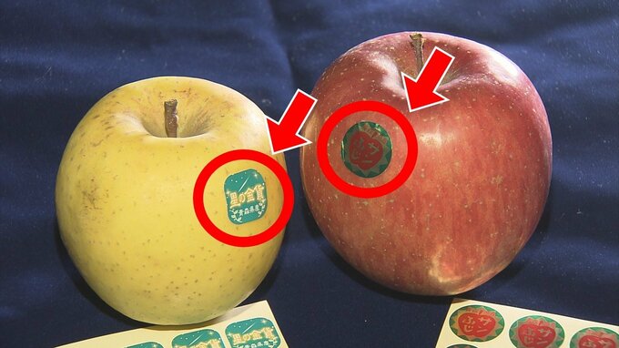 シールブームがリバイバルでまさかの脚光　リンゴの品種示す「りんごつぶつぶシール」が“ボンボンドロップ級”に話題！？　SNS投稿いいね3万超　ホームセンターなどで販売のシールがお土産店の人気商品になったワケ|TBS NEWS DIG