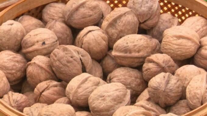 「芳醇な香り、濃厚な味」クルミの収穫はじまる 愛媛県・西条市　|　愛媛のニュース - Nスタえひめ｜あいテレビは6チャンネル