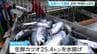 気仙沼港でカツオ豊漁！去年の水揚げ量をひと月足らずで上回る　宮城　|　宮城のニュース│tbc NEWS│tbc東北放送