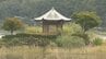「景色の変化にびっくり」　1年半ぶりに陸続きだった六角堂が浮島に　長雨の影響で水位が回復　山梨・河口湖　|　山梨のニュース | ＵＴＹテレビ山梨