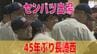 【速報】センバツで長崎西が「21世紀枠」で選出　45年ぶりの甲子園　|　長崎のニュース | 天気 | NBC長崎放送