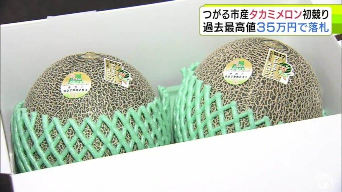 ブランドメロン「タカミメロン」の初競り 最高等級の『プレミアム』は