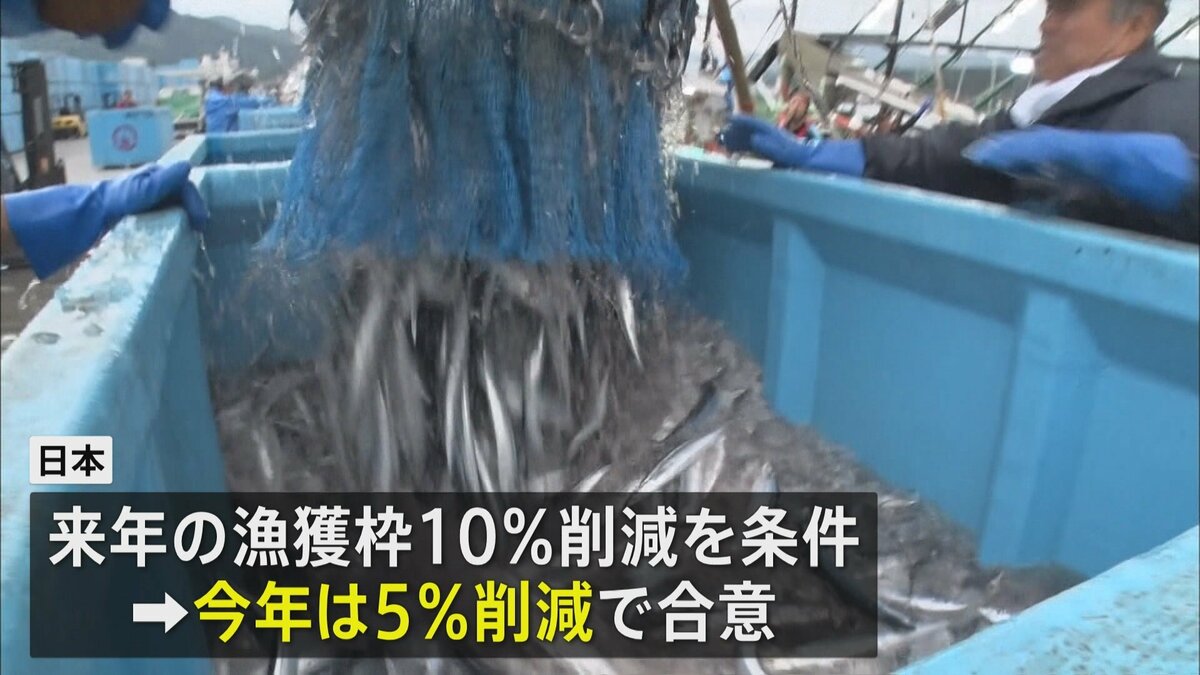 今年のサンマ漁獲枠 5% 削減で合意