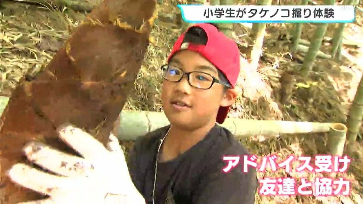小学生がタケノコ掘り体験　2026年は「表年」