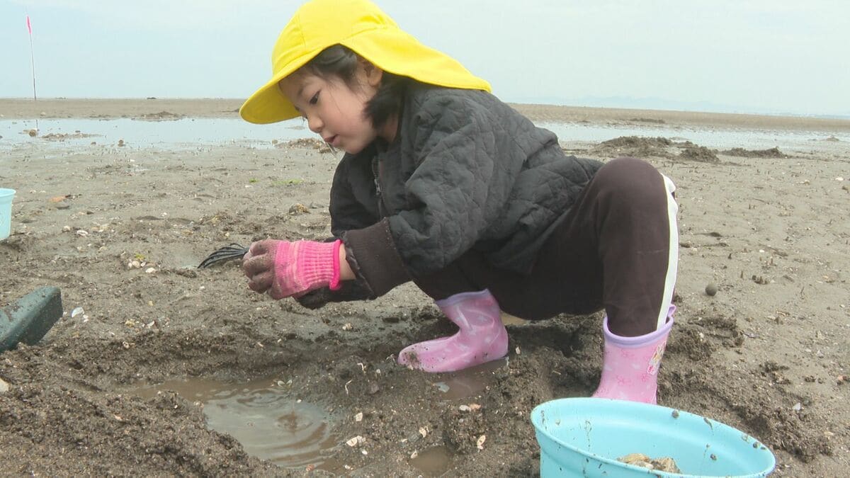「バター焼きか味噌汁か」　3日間限定の潮干狩り初日から盛況　大分・中津