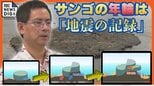 沖縄で過去にマグニチュード9クラスの地震　化石サンゴが現代に伝える巨大地震の痕跡　研究で判明した地殻変動の “スーパーサイクル”|TBS NEWS DIG