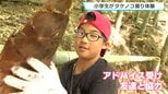 小学生がタケノコ掘り体験 2026年は「表年」|TBS NEWS DIG