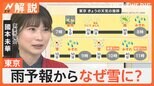 各地で“春の嵐”…東京「雨」予報からなぜ雪に? 雪から一転、週末から5月中旬並みの暖かさ【Nスタ解説】|TBS NEWS DIG