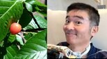 【 ニャンちゅう 】 声優・津久井教生さん　ベランダの鉢植えに実ったサクランボ　「ここ数年のサクランボ争奪戦は鳥たちの圧勝になっています…」　鳥たちの訪れを報告　【ＡＬＳ闘病】|TBS NEWS DIG