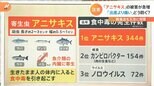 「胃の内側をアイスピックで突き上げられるような痛み…」 近年急増する「アニサキス」による食中毒 激痛を防ぐ対策は“細かくたたく”|TBS NEWS DIG