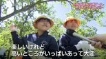 「気を付けてゆっくり回して…」真剣な表情からこぼれる笑顔!児童が特産品「稲積梅」収穫体験 農家からコツを学ぶ 富山・氷見市|TBS NEWS DIG