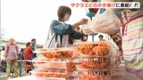 サクラエビのかき揚げに長蛇の列 来場者が香ばしい味に舌鼓 =静岡市・由比漁港 | 静岡のニュース | SBSNEWS | 静岡放送