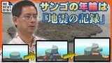 沖縄で過去にマグニチュード9クラスの地震　化石サンゴが現代に伝える巨大地震の痕跡　研究で判明した地殻変動の “スーパーサイクル”|TBS NEWS DIG