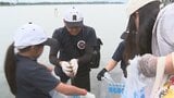 「湖がきれいになって生き物が少なくならないように」浜名湖クリーン作戦に2万人参加　|　静岡のニュース | SBSNEWS | 静岡放送