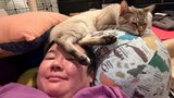 【やす子】愛猫が頭の上でリラックス三昧「動けない」ご満悦の笑み|TBS NEWS DIG