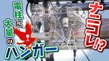 電柱に『異様な光景』無造作に重ねられたハンガーや針金...「フン害」や「漏電の危険性」に頭悩ませる近隣住民たち|TBS NEWS DIG