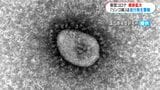コロナ感染者 1000人に迫る 感染性紅斑も幼児中心に増加傾向 鹿児島|TBS NEWS DIG