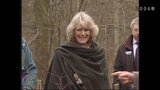 英・カミラ王妃　毛皮の衣装を新調せず|TBS NEWS DIG