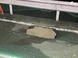 道路に2m四方の穴が…近所に民家も被害やけが人なし＝静岡・島田市　|　静岡のニュース | SBSNEWS | 静岡放送