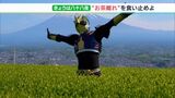 “ラブライブ!茶”に お茶のヒーロー? あの手、この手で“お茶離れ”を食い止めよ 5月2日は「八十八夜」(静岡県) | 静岡のニュース | SBSNEWS | 静岡放送