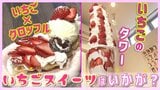30個以上の“いちご”がそびえ立つ『わや、いちご⁉』今すぐ食べたい！旬の「とちあいか」を贅沢に使った春のご褒美いちごスイーツ2選【#わっちタグ】|TBS NEWS DIG
