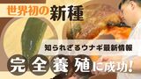 至福の美味ウナギに驚きのニュース続々「世界初の発見」「完全養殖に成功」　|　福岡のニュース｜RKB NEWS｜RKB毎日放送