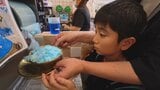 【ひんやりグルメ】 「もふもふでおいしい」夏に食べたい!「SNS映えかき氷」 甲府・台湾茶房ホワイトアレイ|TBS NEWS DIG
