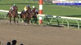盛岡競馬場を舞台に行われたJpnⅡ不来方賞 地元期待のフジユージーンは4着に終わる|TBS NEWS DIG