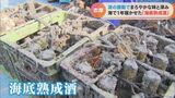 海の底で寝かせた「海底熟成酒」を引き上げ 波の振動が熟成を進めて深みのある味わいに | 名古屋・愛知・岐阜・三重のニュース【CBC news】 | CBC web