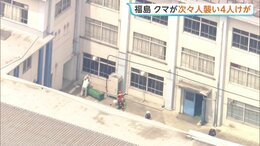 クマが工場・住宅地で人を次々に襲い男女4人けが クマは市内の会社敷地にとどまり警察が対応続ける　福島|TBS NEWS DIG
