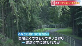 【速馬】群馬・みなかみ町で64歳男性がクマに襲われる 頭やあごなどをひっかかれ重傷 「こんなに間近であれば実感しますね」 自宅近くでキノコ狩り中|TBS NEWS DIG