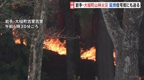 岩手・大槌町の山林火災　延焼続き住宅街にも迫る　82世帯210人が避難所に　防災ヘリや自衛隊ヘリなど消火活動|TBS NEWS DIG