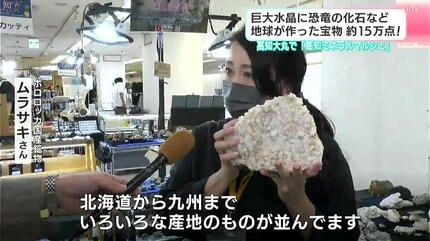 巨大水晶に恐竜の化石など地球が作った宝物が約15万点！ 高知大丸で