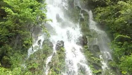 8日に迫った「幻の滝」2025年は出現せず 1年に1度新緑の岩肌を