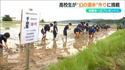 高校生らが“幻の酒米”作りに挑戦「とても光栄です」できた日本酒は保護