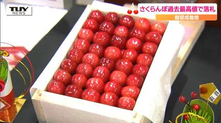 金運爆上げ　風水最高！山形限定品縦15cm最高級特殊朱銅製さくらんぼ花瓶　月山釜 山形産サクランボ1粒2万6千円 高級品種「佐藤錦」、東京の市場
