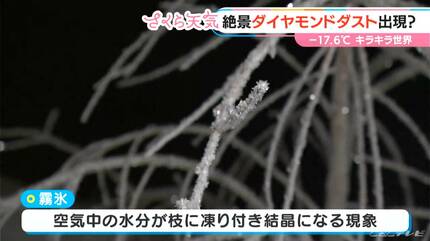凍み死んでまうぞこれ…」－17度 東海地方有数の極寒の地でダイヤモンド