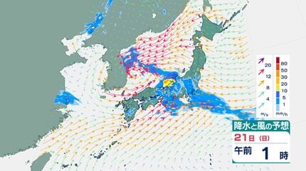 雷伴う非常に激しい雨】落雷・突風・降ひょうなどに注意予想24時間降水
