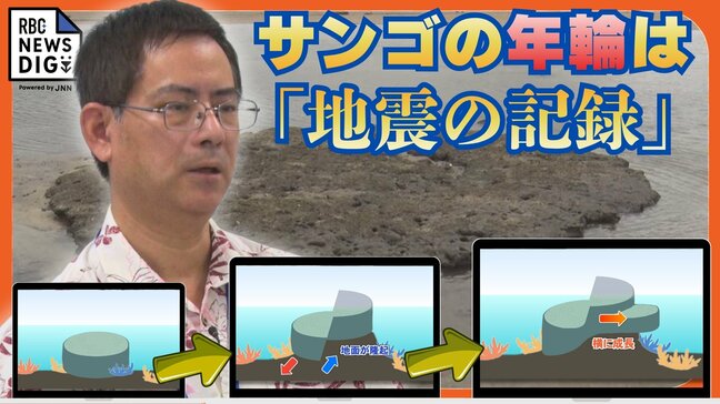 沖縄で過去にマグニチュード9クラスの地震　化石サンゴが現代に伝える巨大地震の痕跡　研究で判明した地殻変動の “スーパーサイクル”|TBS NEWS DIG
