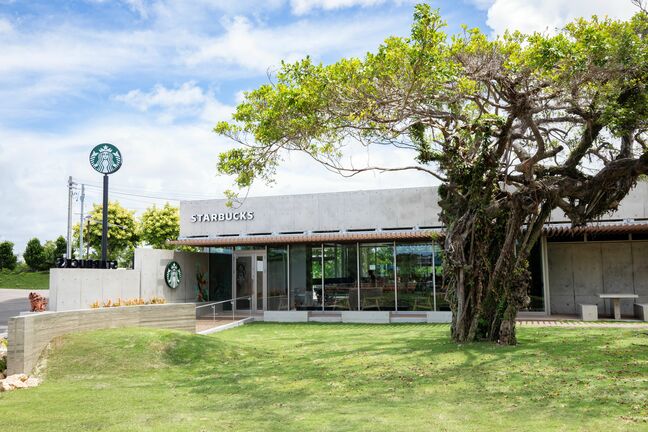 スタバを併設した県内初の公園が9月1日供用開始へ　収益施設を設ける「Park-PFI」で整備　競技施設の混雑懸念も|TBS NEWS DIG